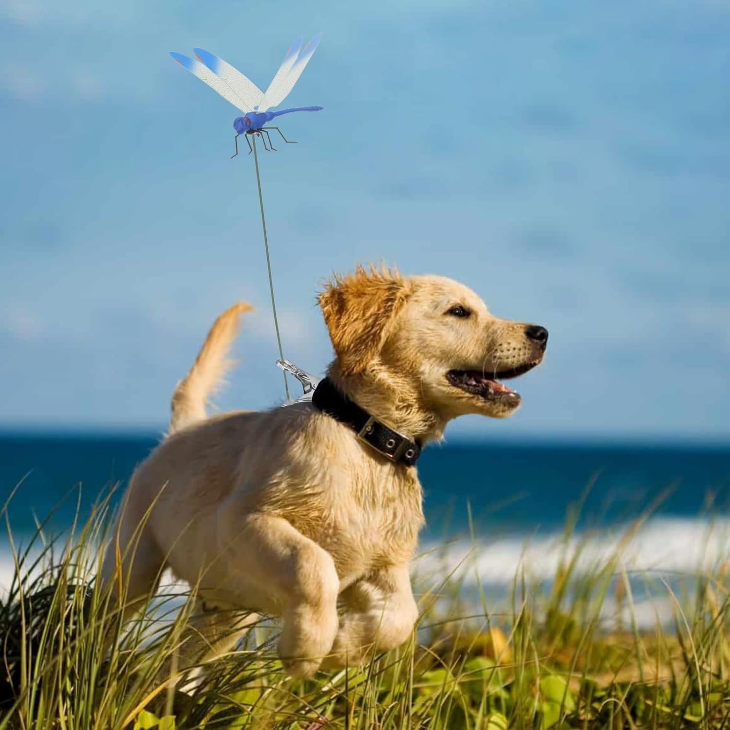 Chemical-Free Dragonfly Bug Repellent Clip